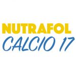 Nutrafol Calcio 17