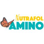 Nutrafol Amino